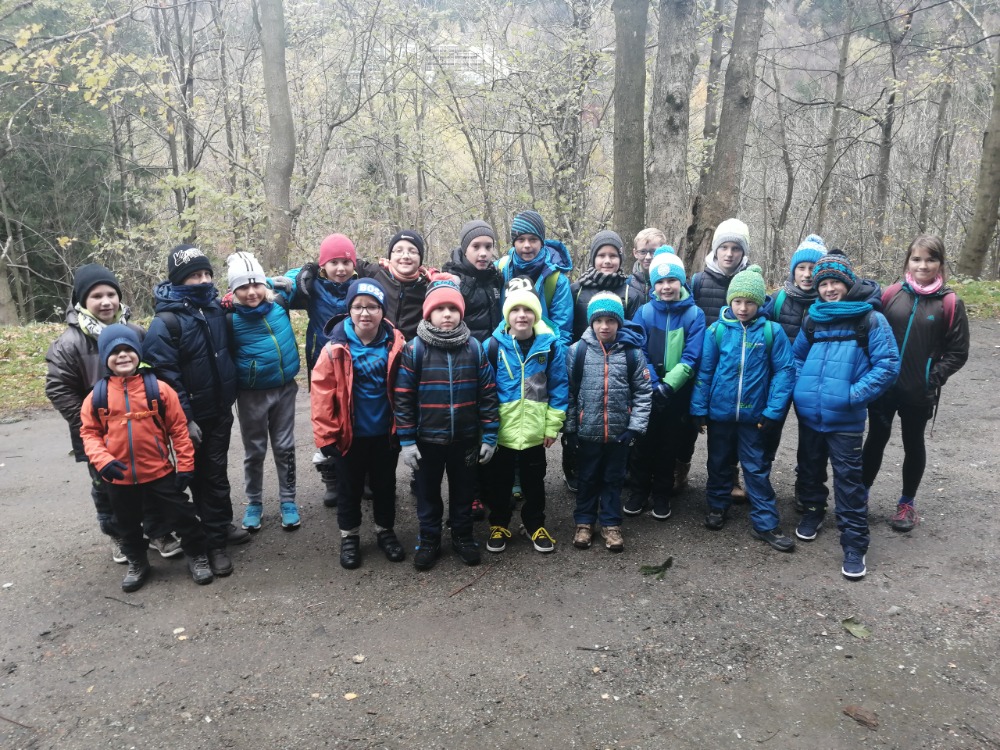 IMG_20191109_090728